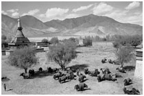 China-Tibet B&W gallery